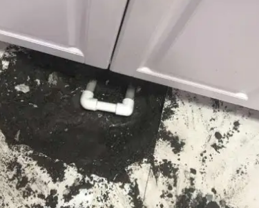 乐业查漏水哪家好