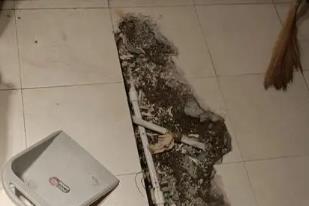 乐业卫生间漏水检测电话